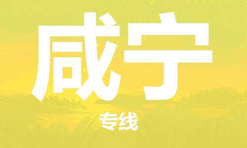 石家莊到咸寧物流公司-大件運(yùn)輸專線「高效運(yùn)輸」