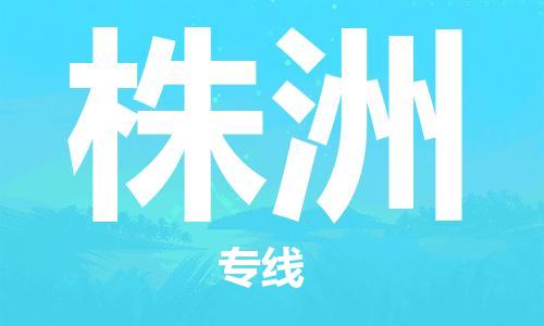 邯鄲到株洲物流公司-邯鄲至株洲貨運(yùn)客戶至上定制服務(wù)|可靠、經(jīng)濟(jì)實惠