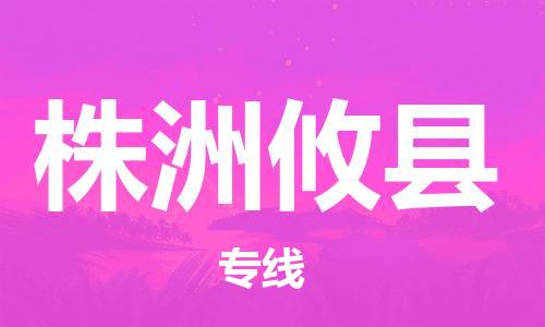 邯鄲到株洲攸縣物流專線-物流專線快速直達(dá)-市縣閃送